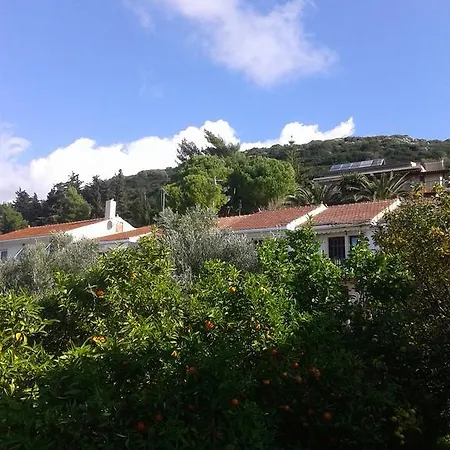 Aggelos Kefalonia Lassi